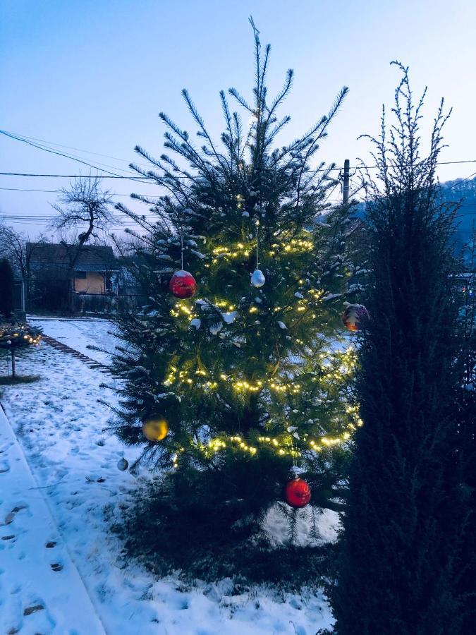 Hotel Poenita Sighisoara Luaran gambar