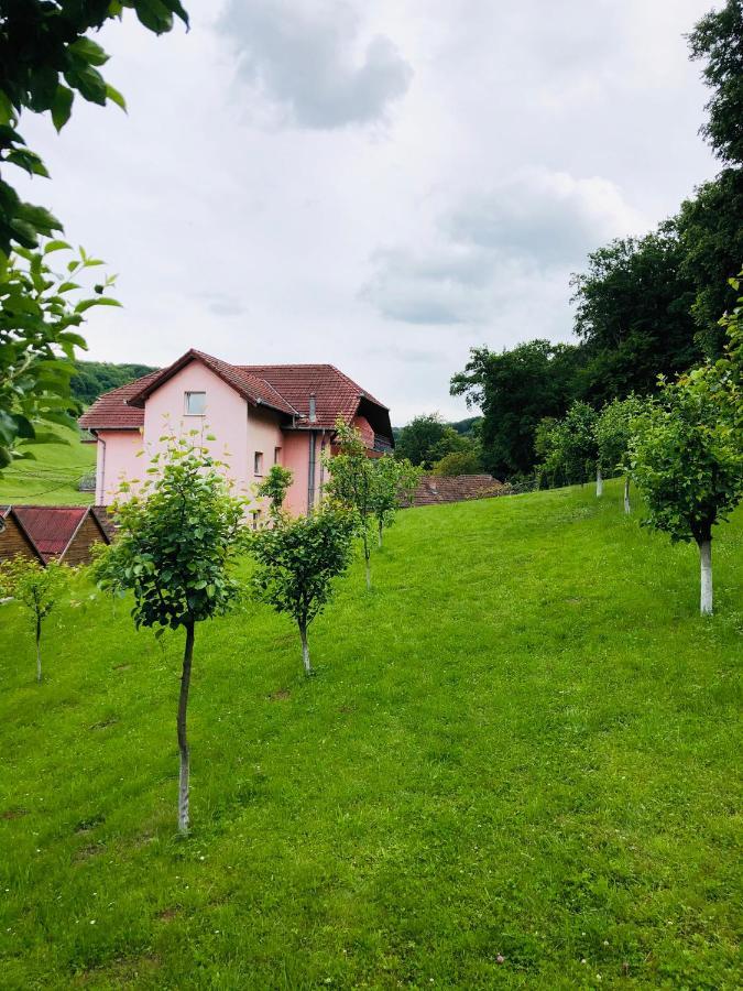 Hotel Poenita Sighisoara Luaran gambar