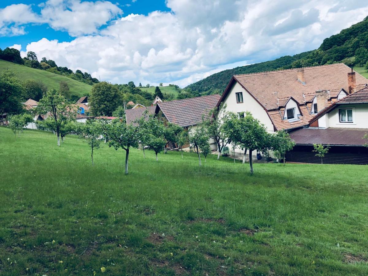 Hotel Poenita Sighisoara Luaran gambar