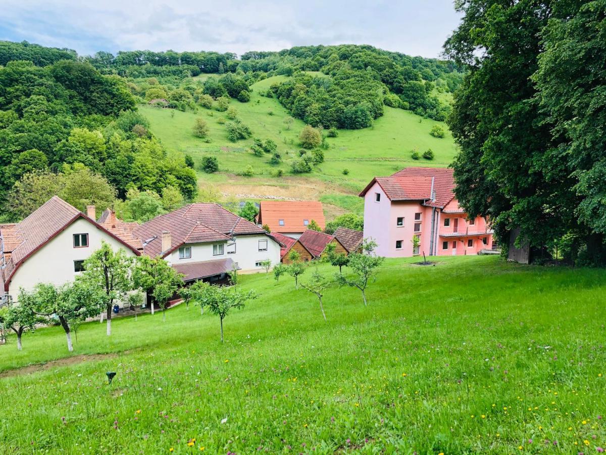 Hotel Poenita Sighisoara Luaran gambar
