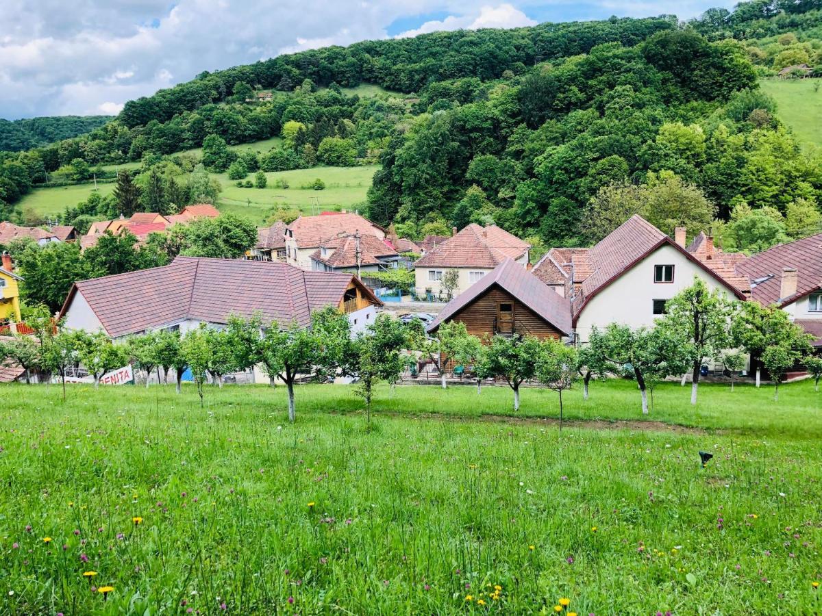 Hotel Poenita Sighisoara Luaran gambar